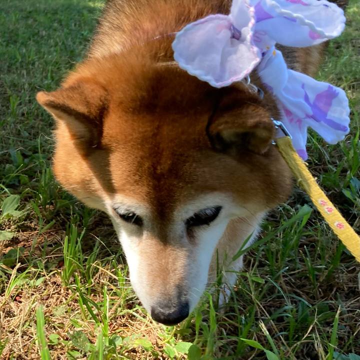 0f9a314d bd93 4059 9afc 223f98e9f837 1659493017625