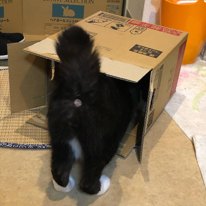 0f9ada58 5893 440a 8f8e a968cdb4bdc6 1563750811132