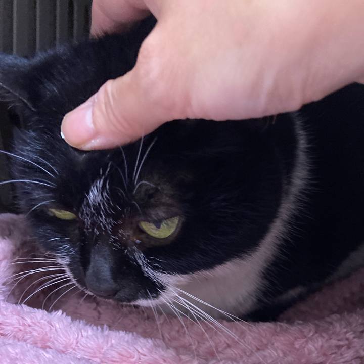 0f9b05e4 d08a 4418 9321 f6d2cb8c98bb 1701327847031