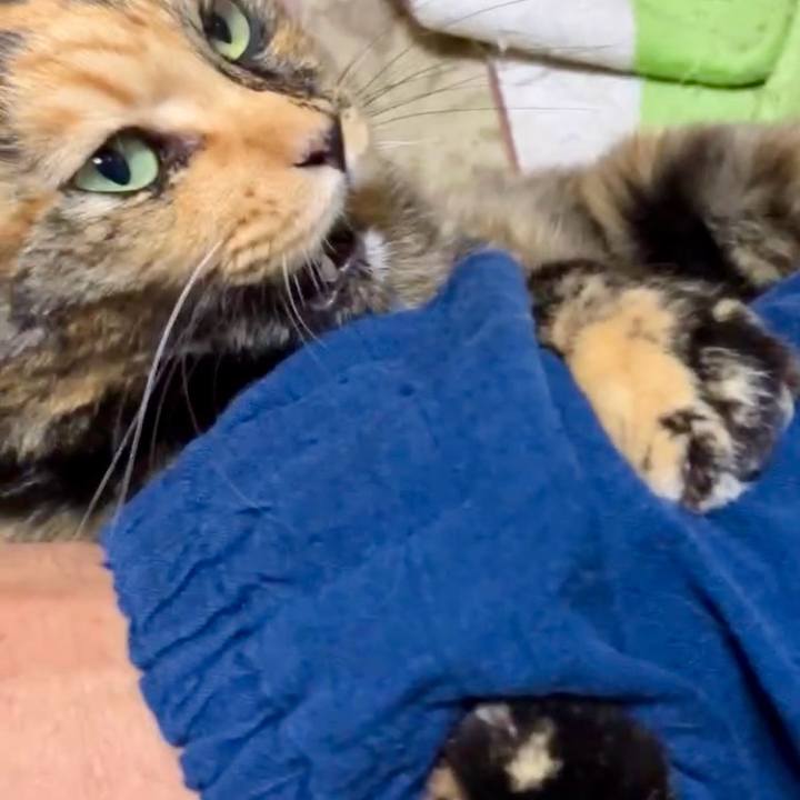 0f9b3033 4b89 4184 98c3 12f5cbeb6763 1731096704461