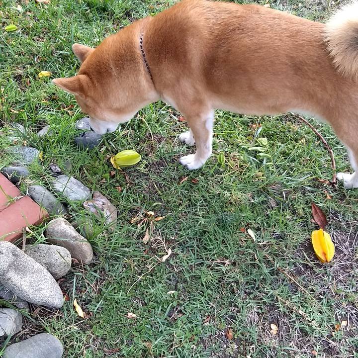 0f9b40b7 4755 4212 b3bf 38622f855608 1507757065074