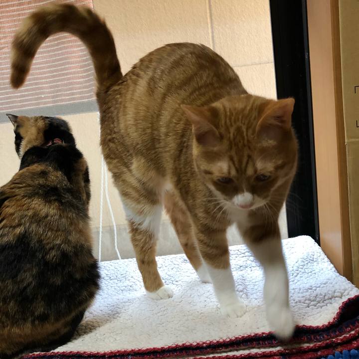 0f9b9c7d 587a 409a b396 bf8e05aa7bc4 1555899823054