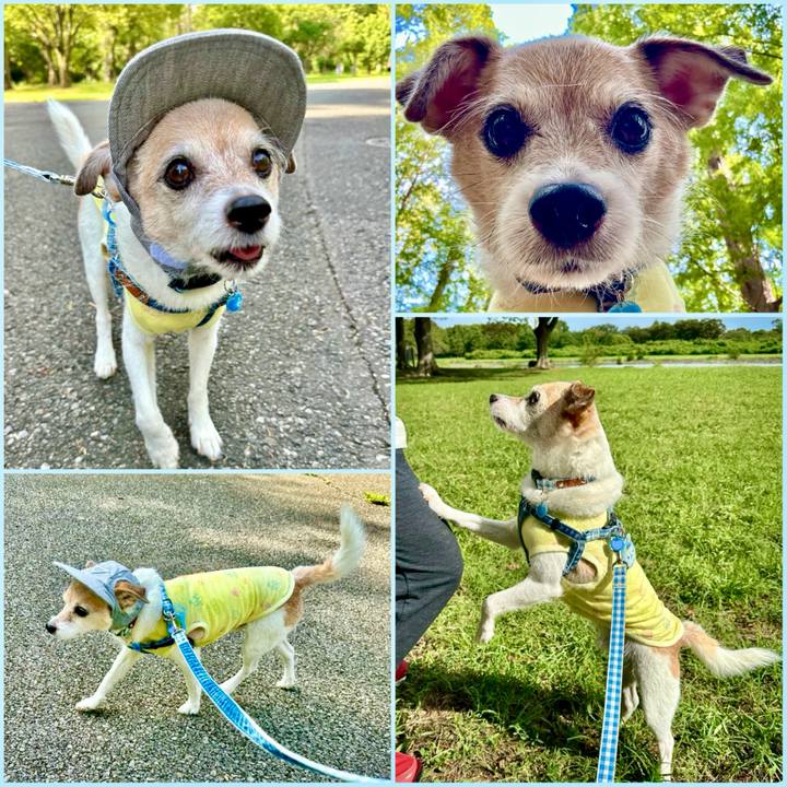 0f9bc5ac f8f2 473f 9858 0fedd7f2eed3 1695534341186