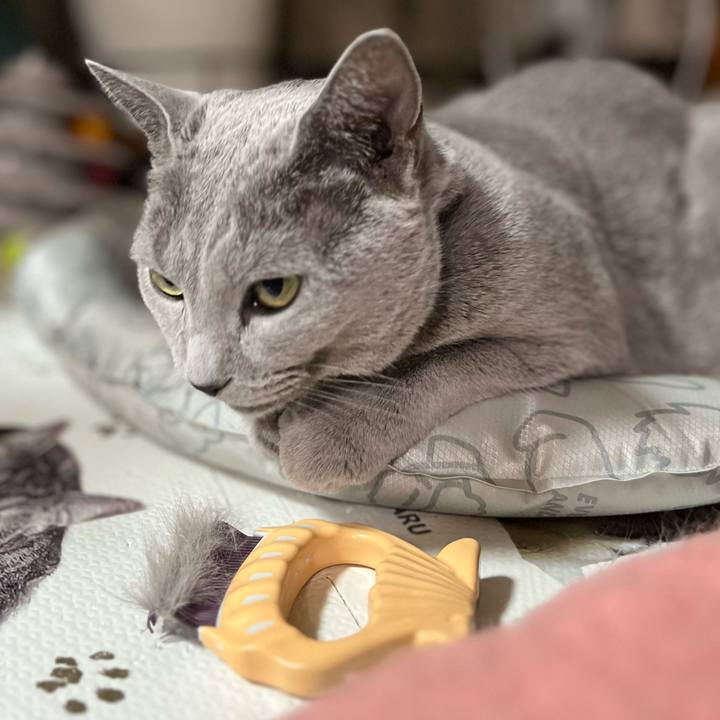 0f9bddc1 7ea0 49b7 8689 7c9c5b618960 1728051608847