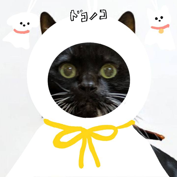 0f9bff5f c21e 47bb 9547 0332b9267e00 1781910199359