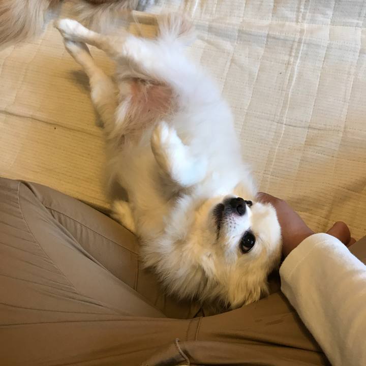 0f9c2d8b ae81 4361 9f55 28d4e7dd6e53 1524436088409