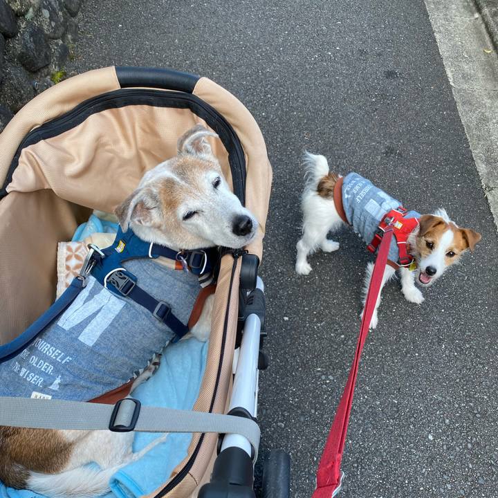 0f9c59de c54e 439d 9208 d31d679812cc 1651538568245