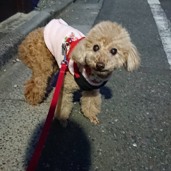 0f9cb957 8150 4f31 9872 b389a8ffa5d8 1609057933363