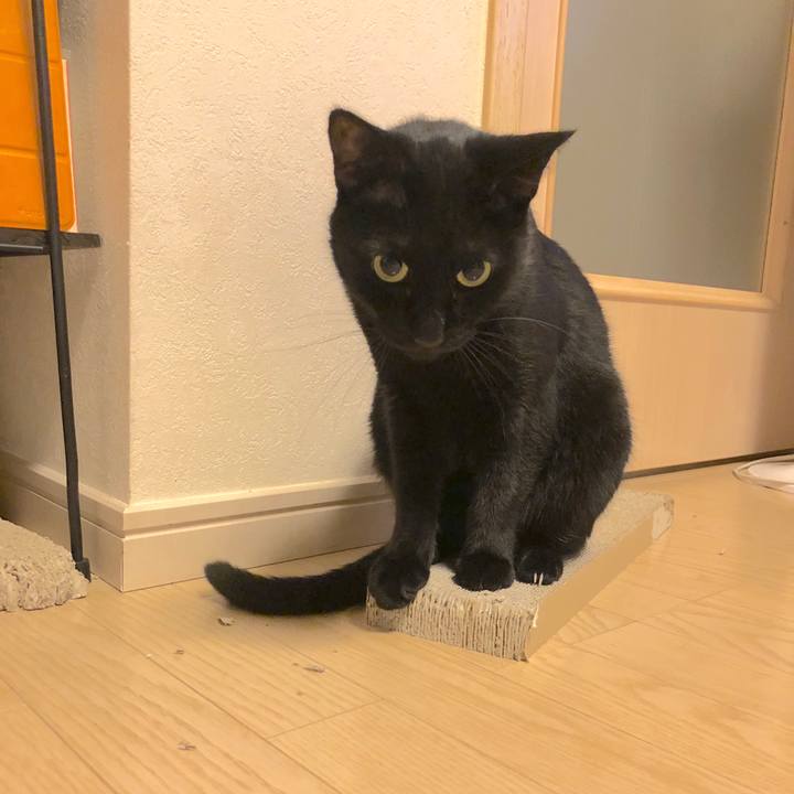 0f9cc6ce 9218 49a5 9113 d2e724c15e63 1540128284035