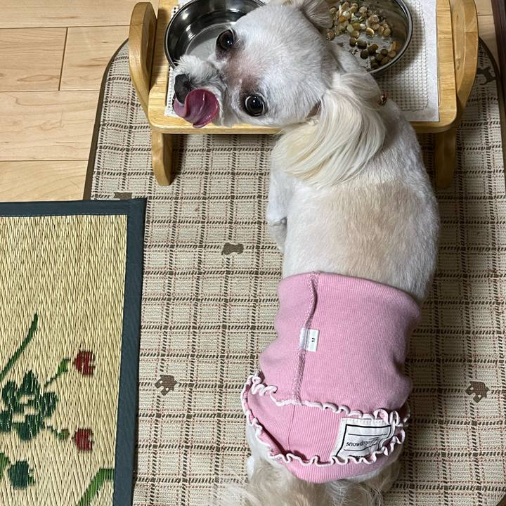 0f9cf428 d299 4b5b b388 582a81a6da2a 1689759120594