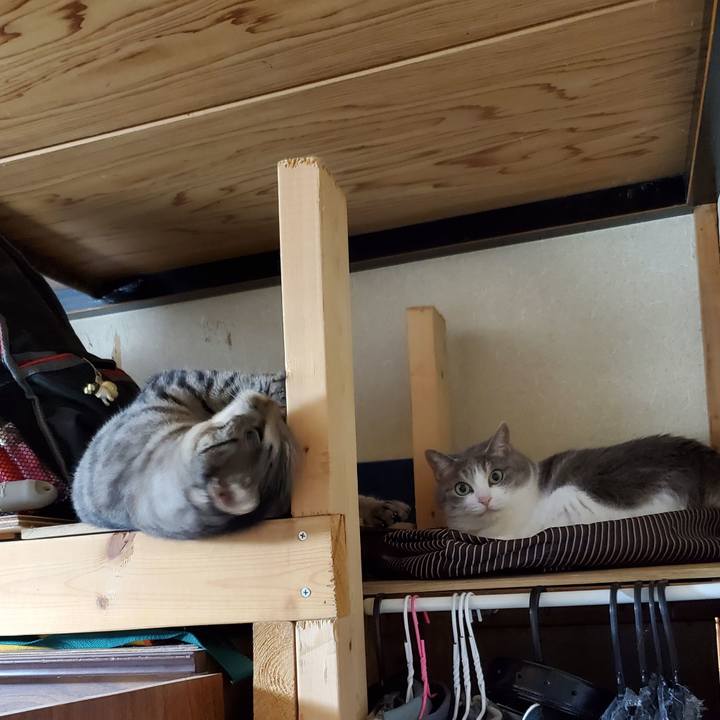 0f9d05ab 429e 4670 8439 be5cf092ec34 1694432925981