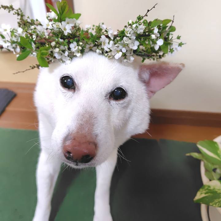 0f9d0e45 43be 4fd1 bb48 1149644766c3 1743733705611