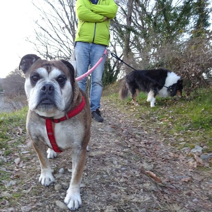 0f9d4b05 44c5 49ca 9f09 8cd1125f5984 1578571481403