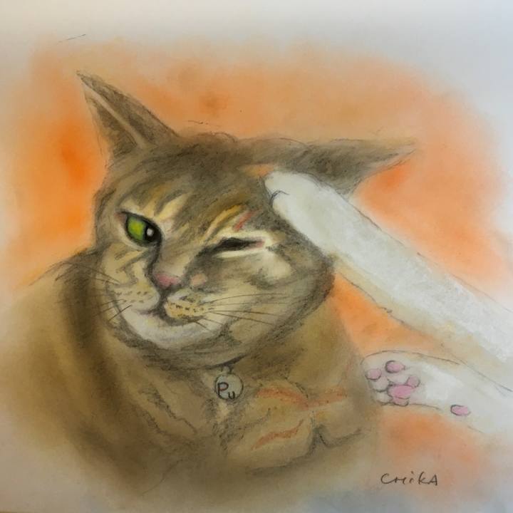 0f9d61ff 1c11 49c2 b115 14228adc4bbe 1581262497982