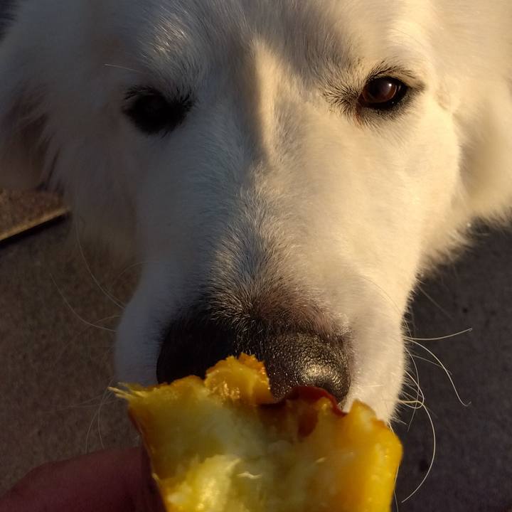 0f9d7b3f 50c3 4836 a01b b98882d6ff98 1670577705583