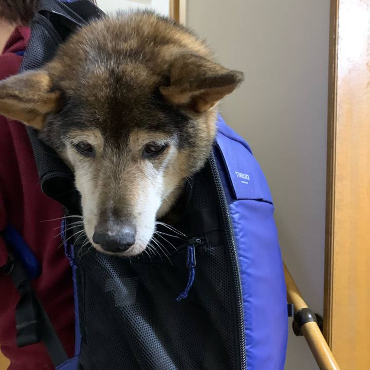 0f9d8004 1023 4ed9 b5cf 60098e4aa176 1574246053676