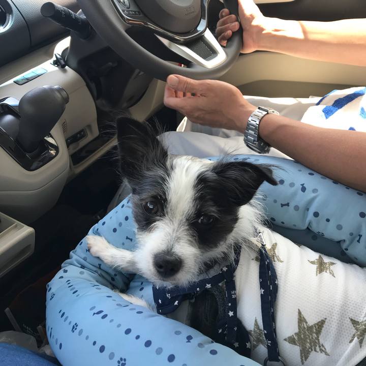 0f9da111 bfa5 48aa ba7a 1e8da76ca52f 1535339357173