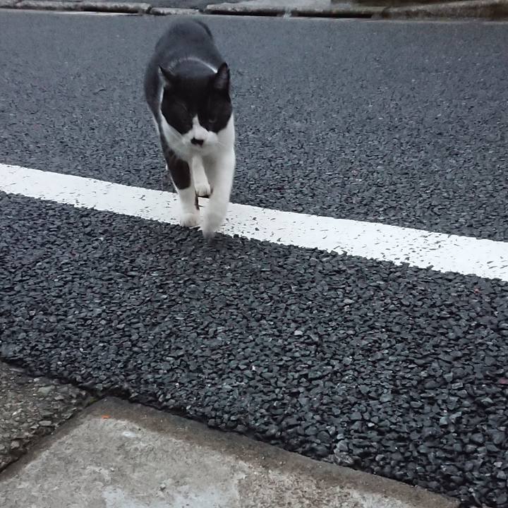 0f9de18c 0a8e 4df1 9f04 6e9e9b9c618a 1697357948912