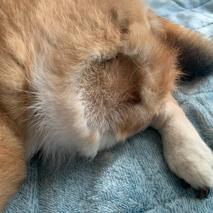 0f9dee03 e898 422d 82d2 e2d6df5b668d 1671336479859