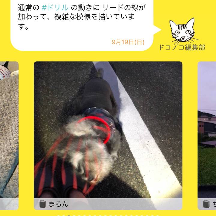 0f9e310e 4186 45b3 a02f 6f5f01ef88c2 1632053037609