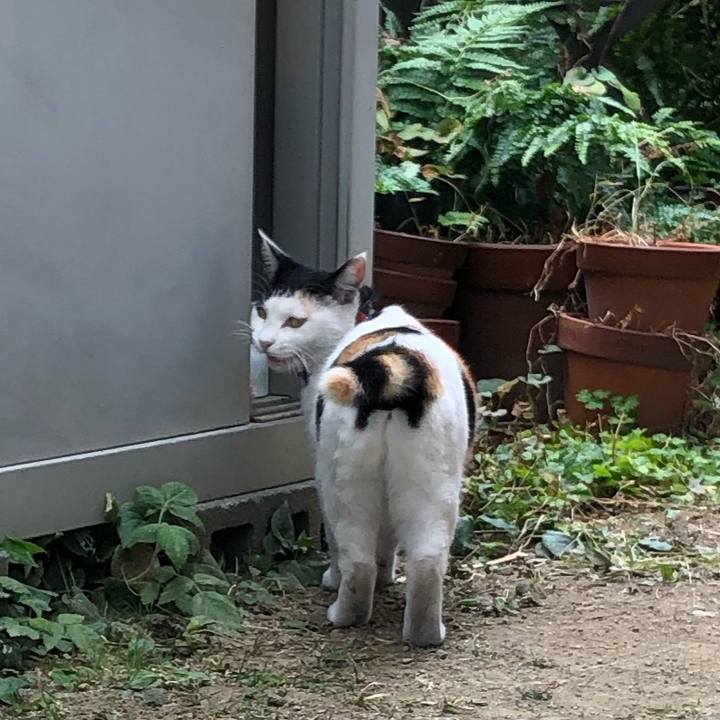 0f9e3f75 2867 4fd2 a122 44a9565a477a 1635912498552