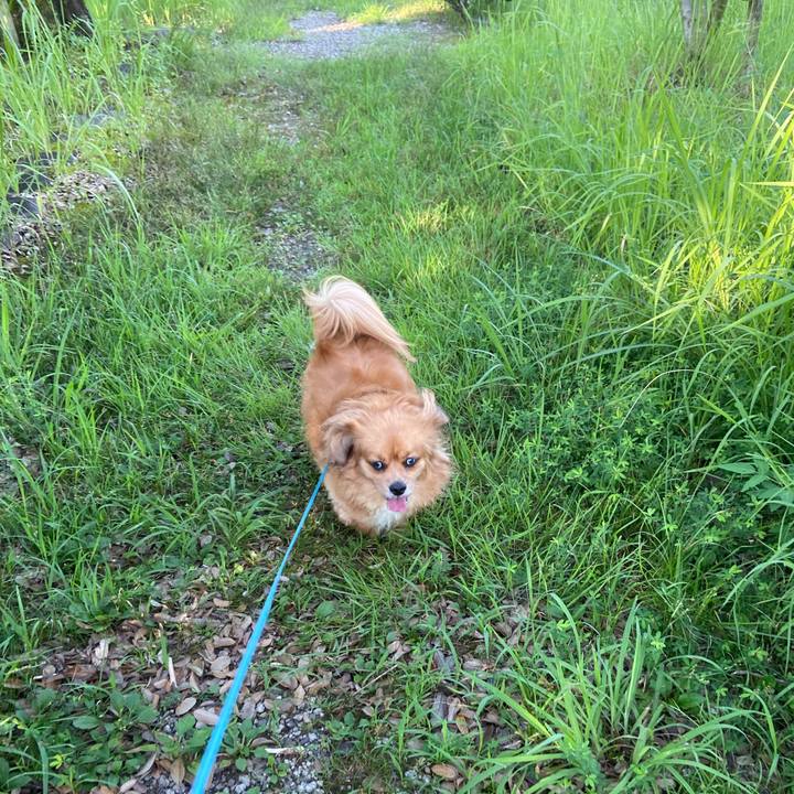 0f9e537e dce5 4518 bbec 2479e472b1ac 1597183023840