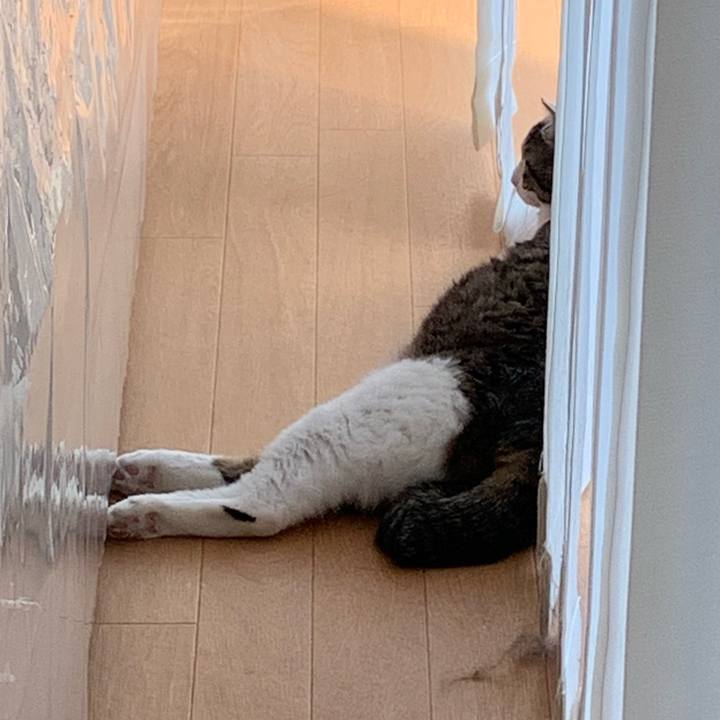 0f9e8ed8 e5b2 407f 945e 5f49974b7255 1753100663732