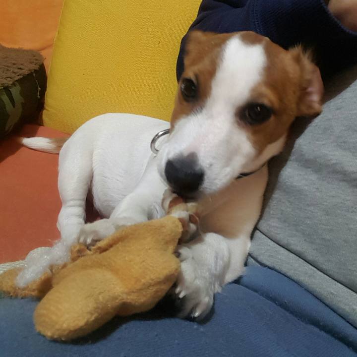 0f9e901e 65d4 4875 af44 ce114047dc37 1551519824445