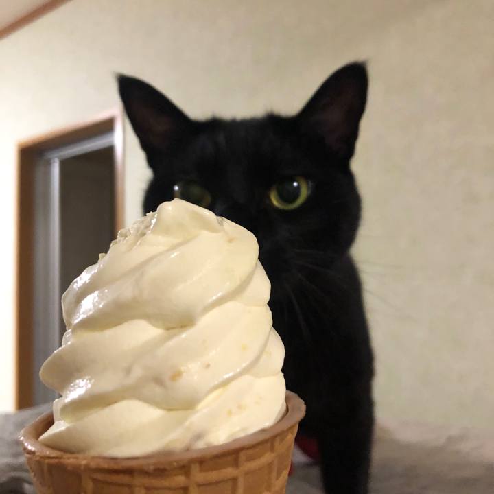 0f9ec863 e743 4731 879d cd317c26e31c 1600261570291