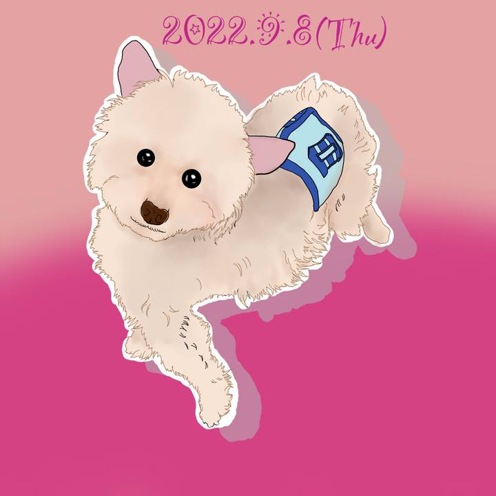 0f9ee731 fa1f 4508 8cda bebc62e99f46 1662637377091