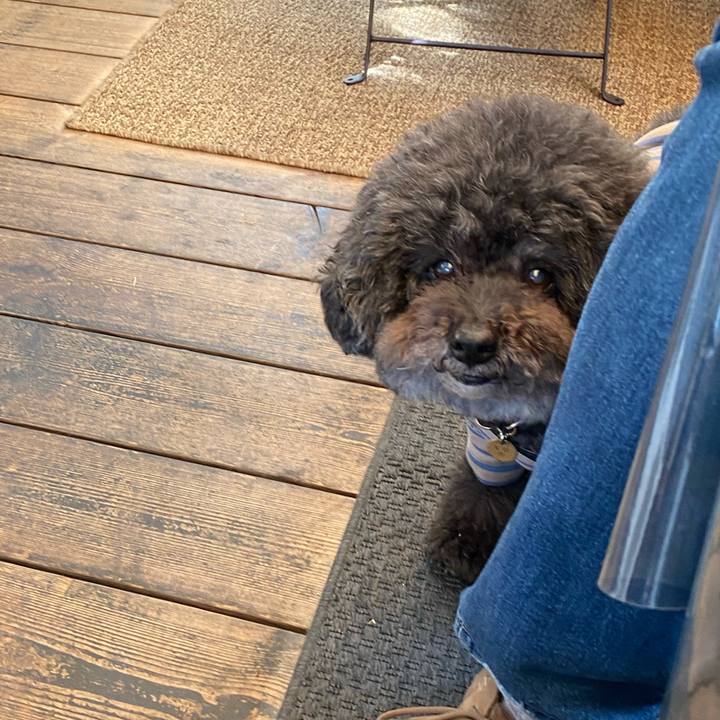 0f9f1a14 099b 41d9 a452 568dc46d26de 1633932305180