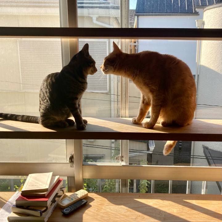 0f9f3251 78e5 42ee a0cc 6727005e25af 1667005020443