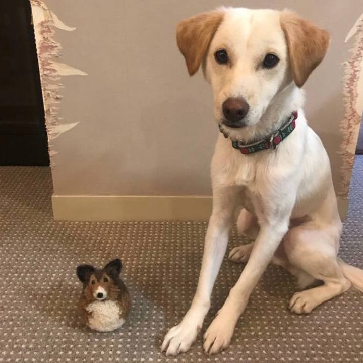 0f9f5cbd 84cf 4a6d a908 1524be4248f5 1559744767146