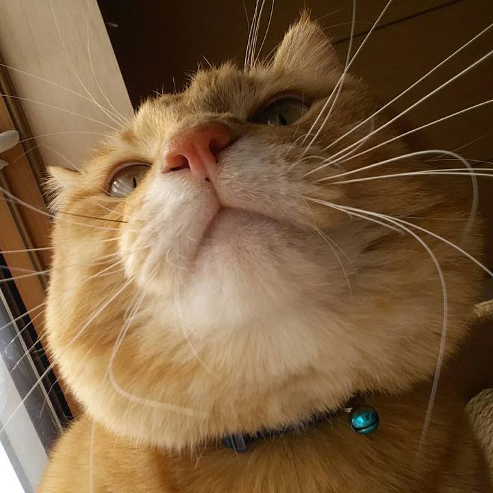 0f9f832f dc7e 487a b2a3 60e7eed2beac 1519700407013