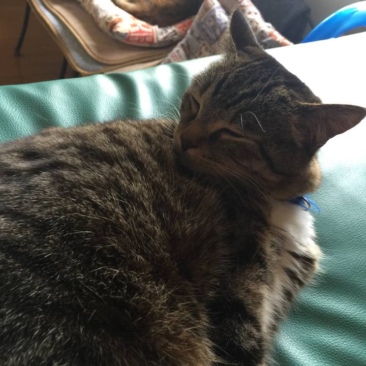 0f9f8a10 b2b1 42b0 a6e8 29d3fcf943e5 1557116304260