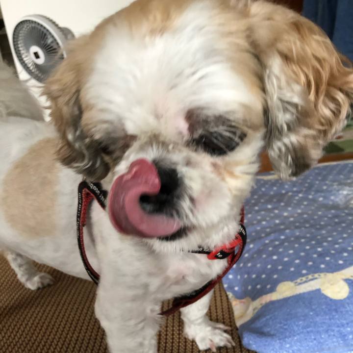 0f9f8e51 2a19 49ee 9a8a 7aa73a22c131 1592351858399