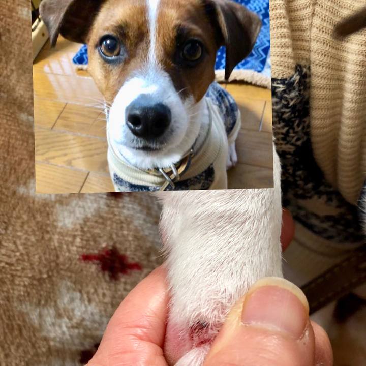 0f9fc4f3 8d05 4e02 8a24 19a9921f3868 1548669520899