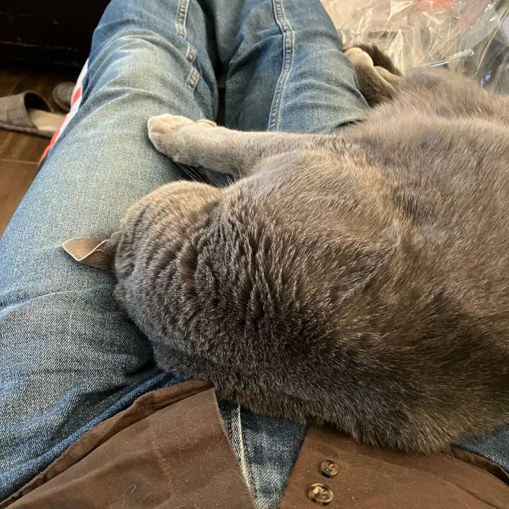 0f9fdf54 e1be 4d1a bcce 09af5b1e97d6 1682980417350