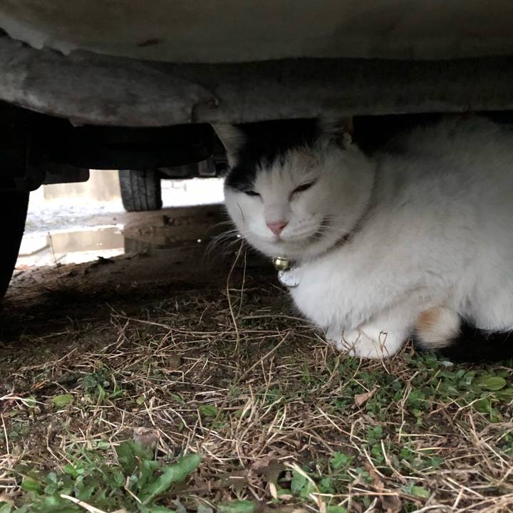 0f9fe310 6022 44fe 8a3c 68dc7e9df8ee 1611526231970