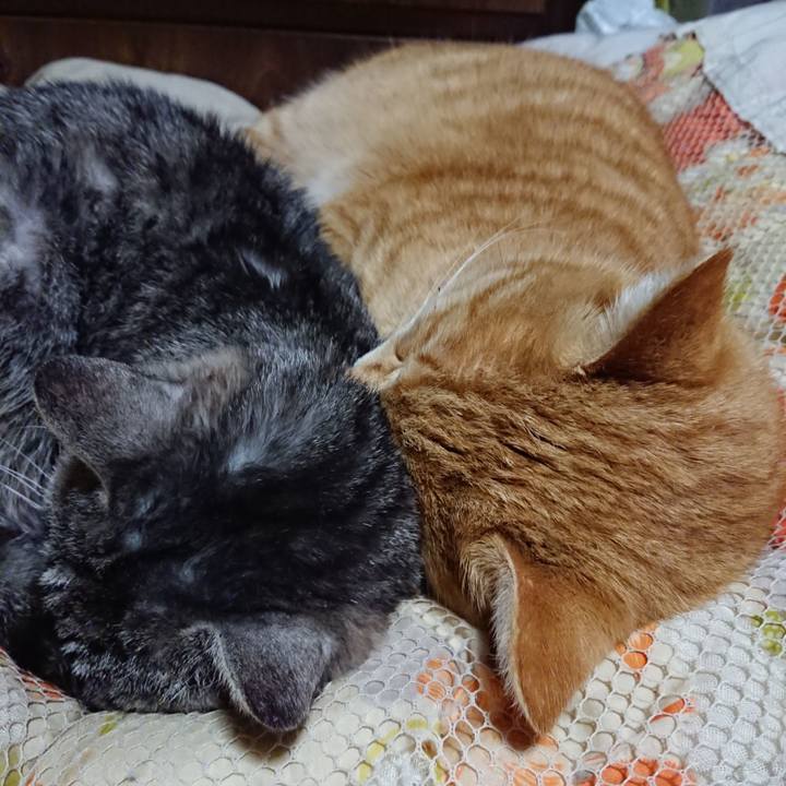 0f9fe662 6a4b 44c1 9742 63558fbd6841 1578401853124