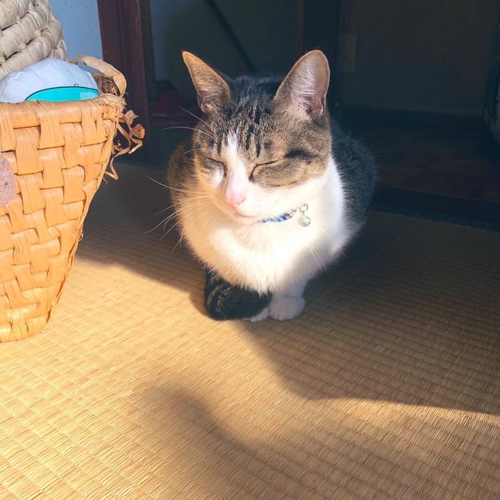 0fa02a2b 2402 4f8c a861 12132c33fecc 1575980737381