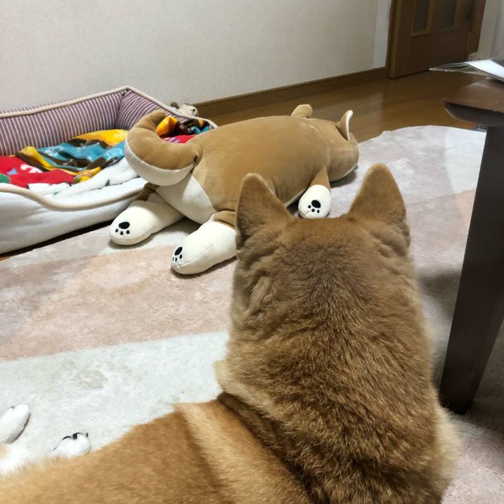 0fa06e11 4ca7 456f 98fb 1c88d95f4f81 1581996380595