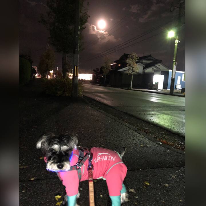 0fa08db9 de79 41aa a679 ec4a954f29b7 1701230254278