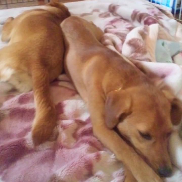 0fa095b2 b9a3 48d7 b569 a9db38bfecac 1524516685270