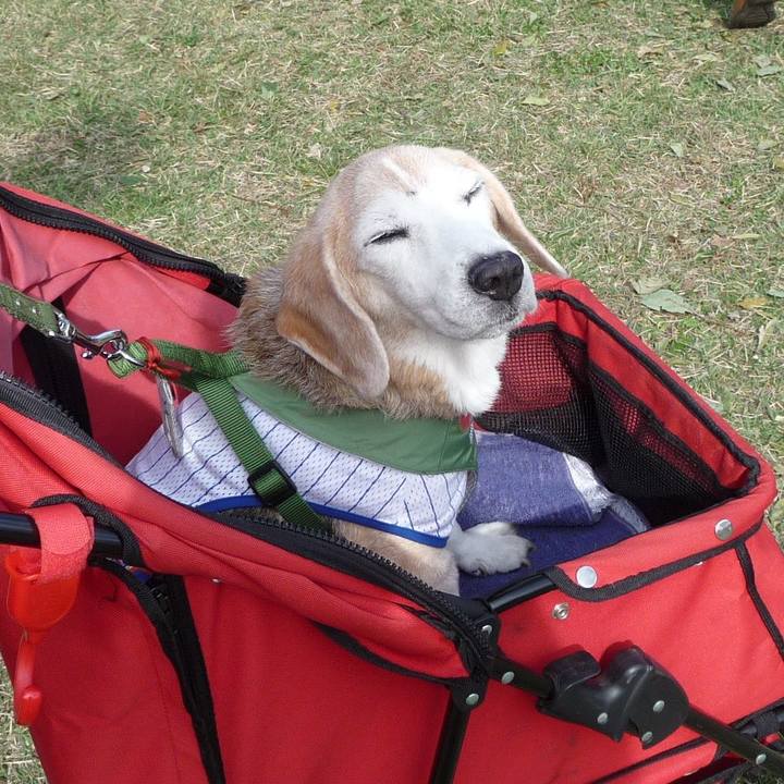 0fa09db3 dbba 4a0e ae06 fd91a21d062c 1706578258140