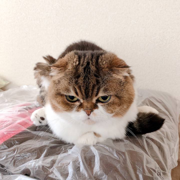 0fa0f7c0 364a 4992 bd3f b3d5be73e23f 1557895486108