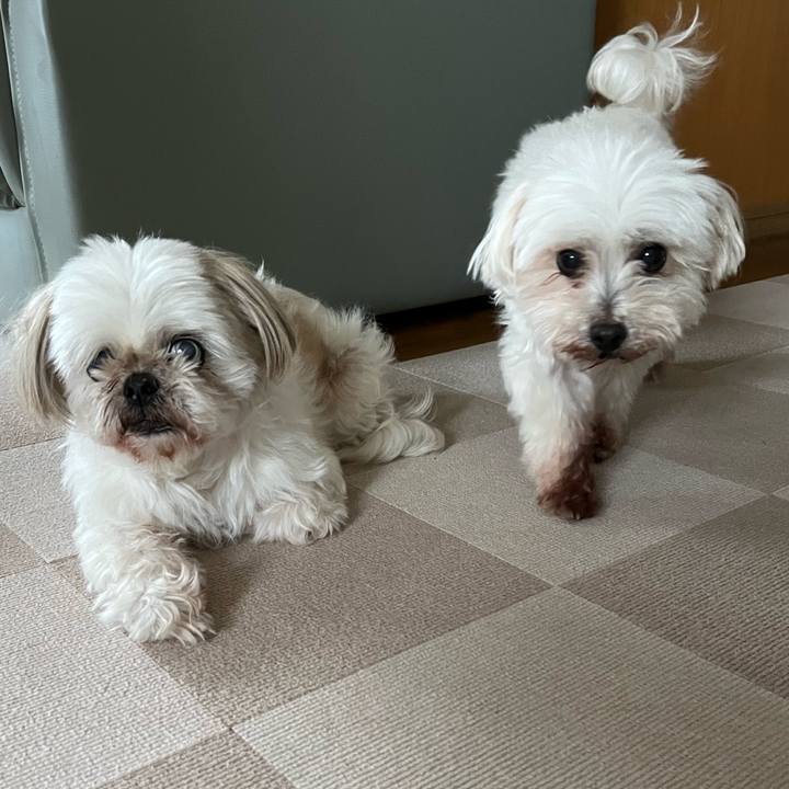 0fa12394 8330 4b51 80fa 95759e4f0ecd 1687497506551