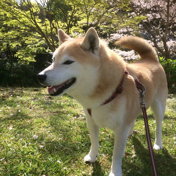 0fa1626b 0d95 48b4 9380 e1a818424a32 1582556499615