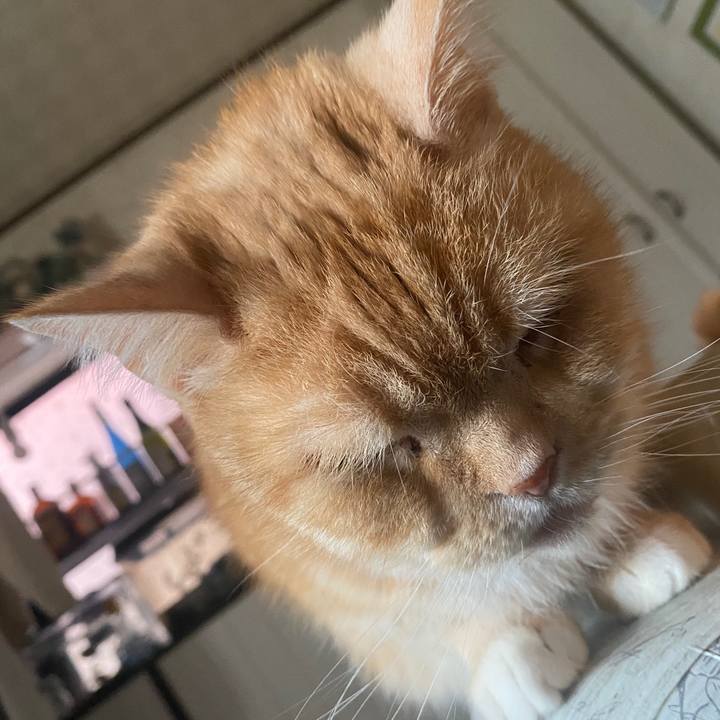 0fa1b89f 6c4b 4b3c 8706 79bc271038cd 1587241193277