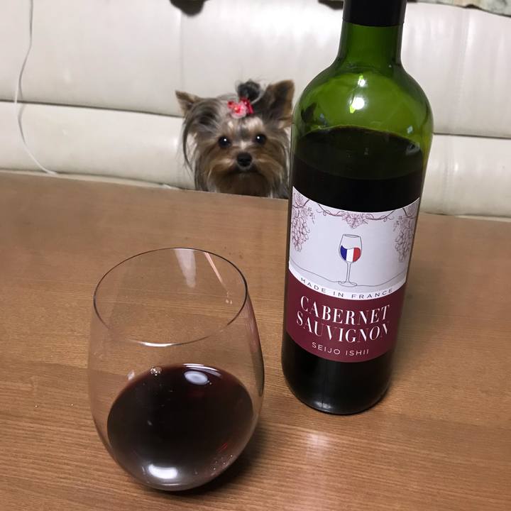 0fa1c867 eff3 4b6d ae77 92d81c688380 1659237838776